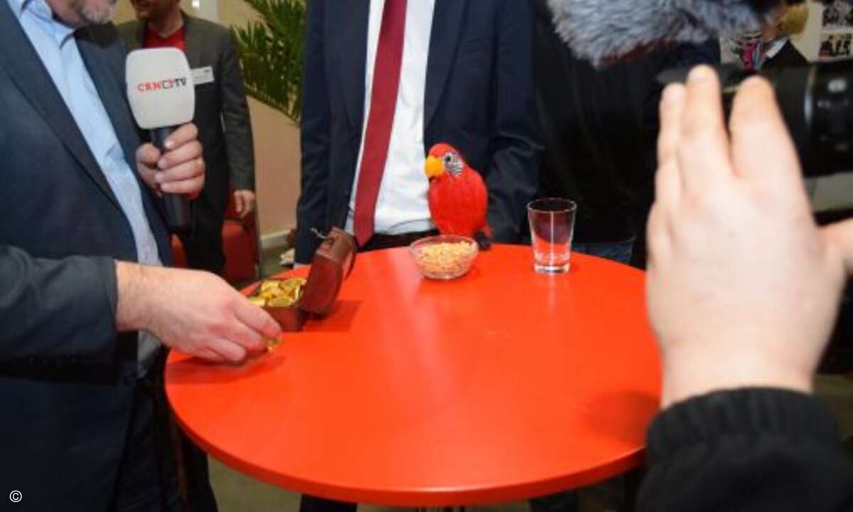 Papagei Paul wird mit Erdnüssen bei Laune gehalten (Foto: CRN)