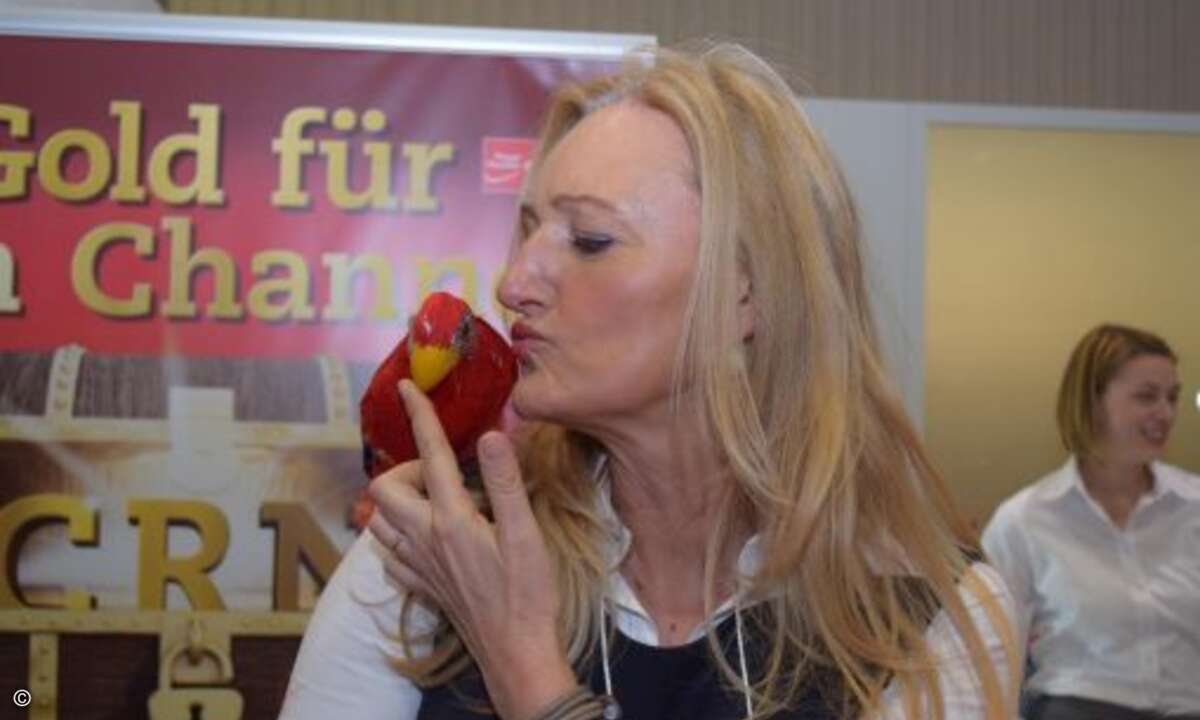 Papagei Paul ist einfach ein Womanizer (Foto: CRN)
