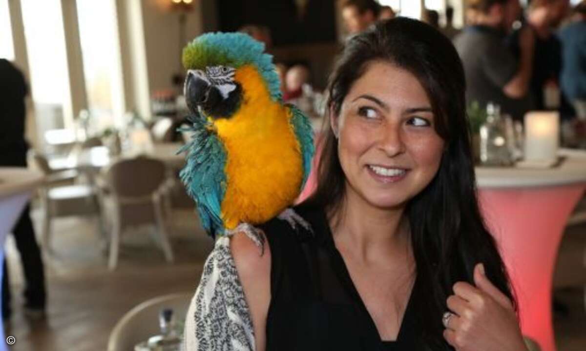 Idee von CRN Piratenparty: Nikki Ferrante von Autotask mit Papagei (Foto: Autotask)
