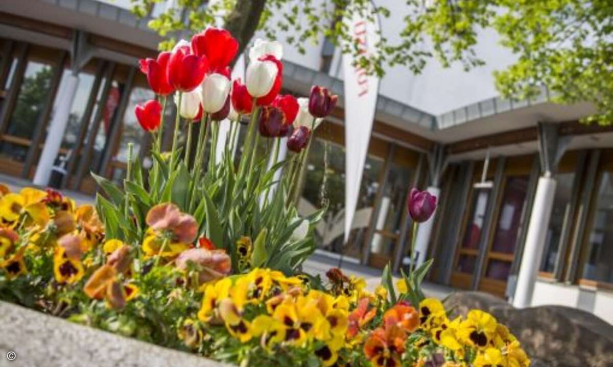 Das Wetter war bestens und die Stimmung der Partner ebenso… (Foto: Fujitsu)