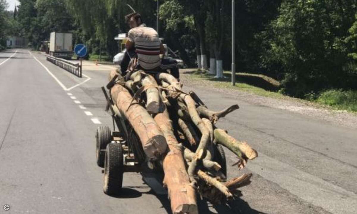 Hier der Beweis (Foto: Nils Kathagen)