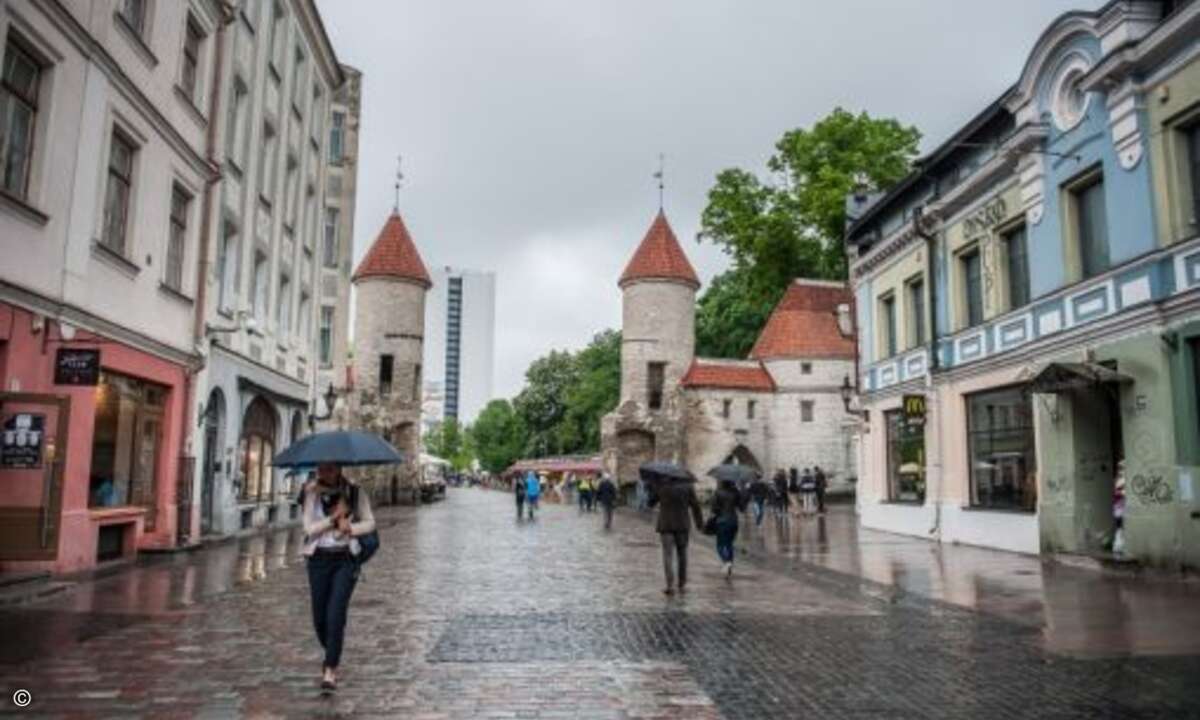 Stadtmauer und Viru-Tor (Foto: NetApp)