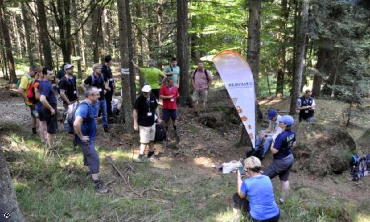 Die Sysob-Gäste waren herausgefordert, den Kaitersberg im Bayerischen Wald zu besteigen (Bild: Sysob)