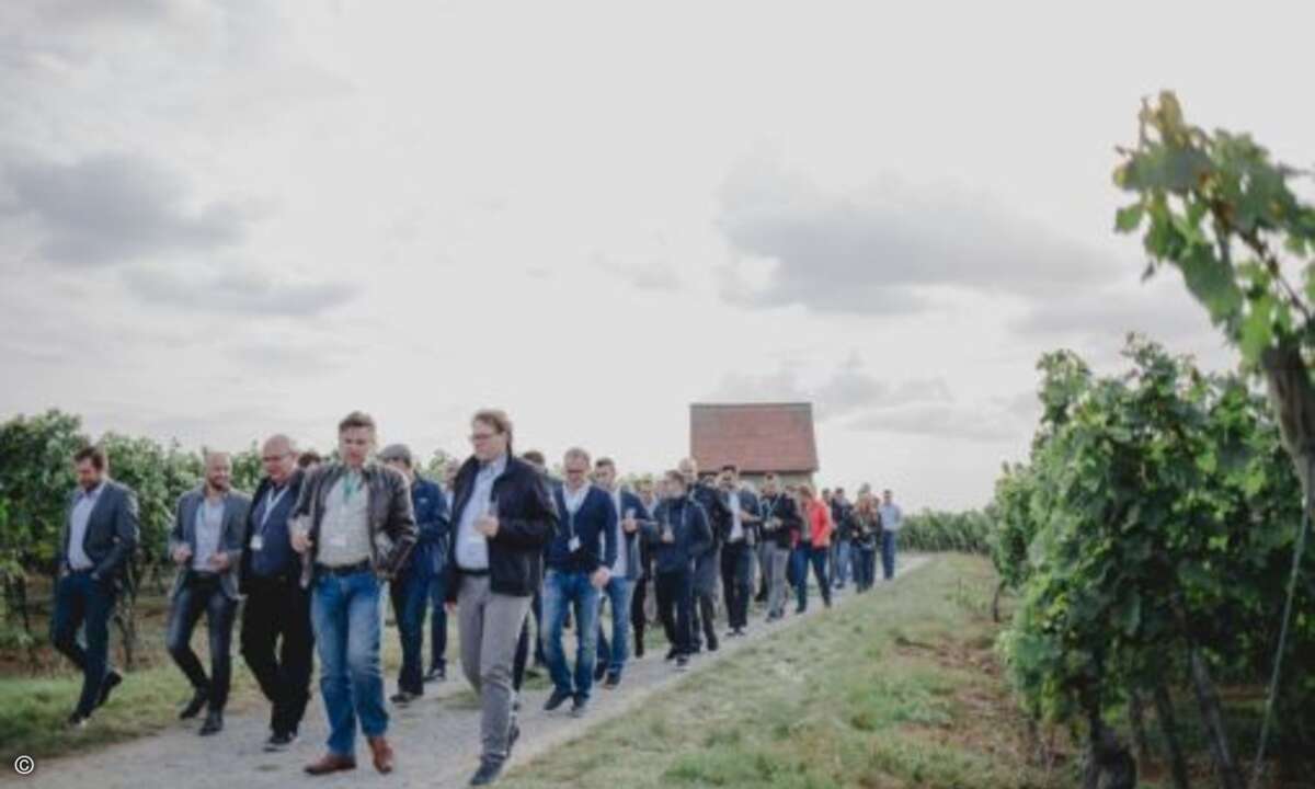 Kleiner Spaziergang durch das Weinanbaugebiet (Foto: Kaspersky)