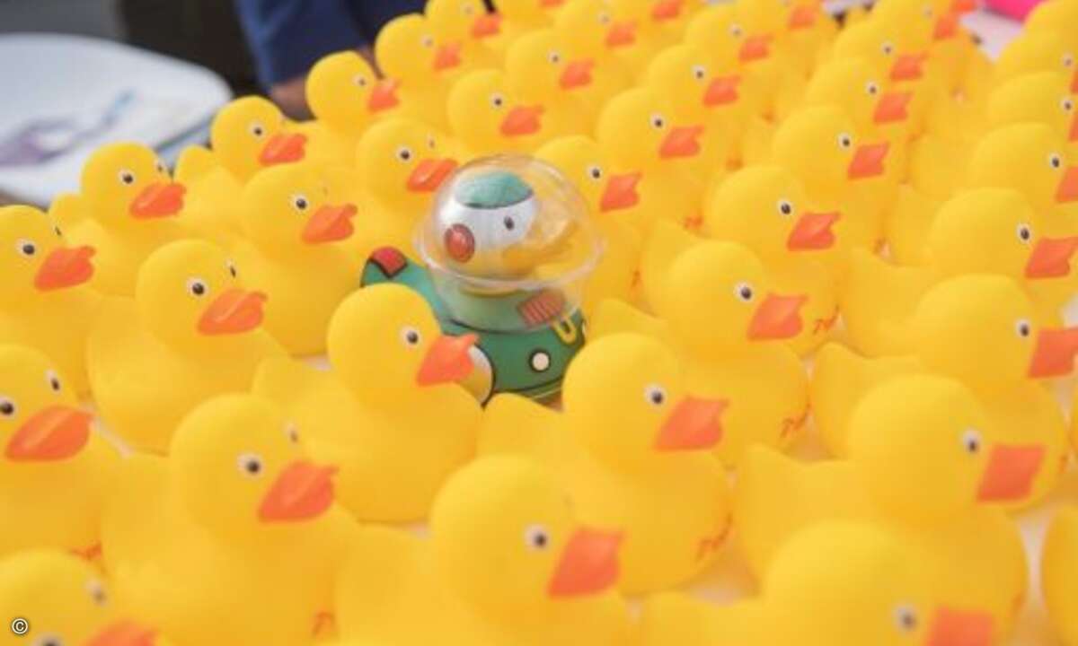 Das schwarze Schaf unter den Enten (Foto: Microsoft)