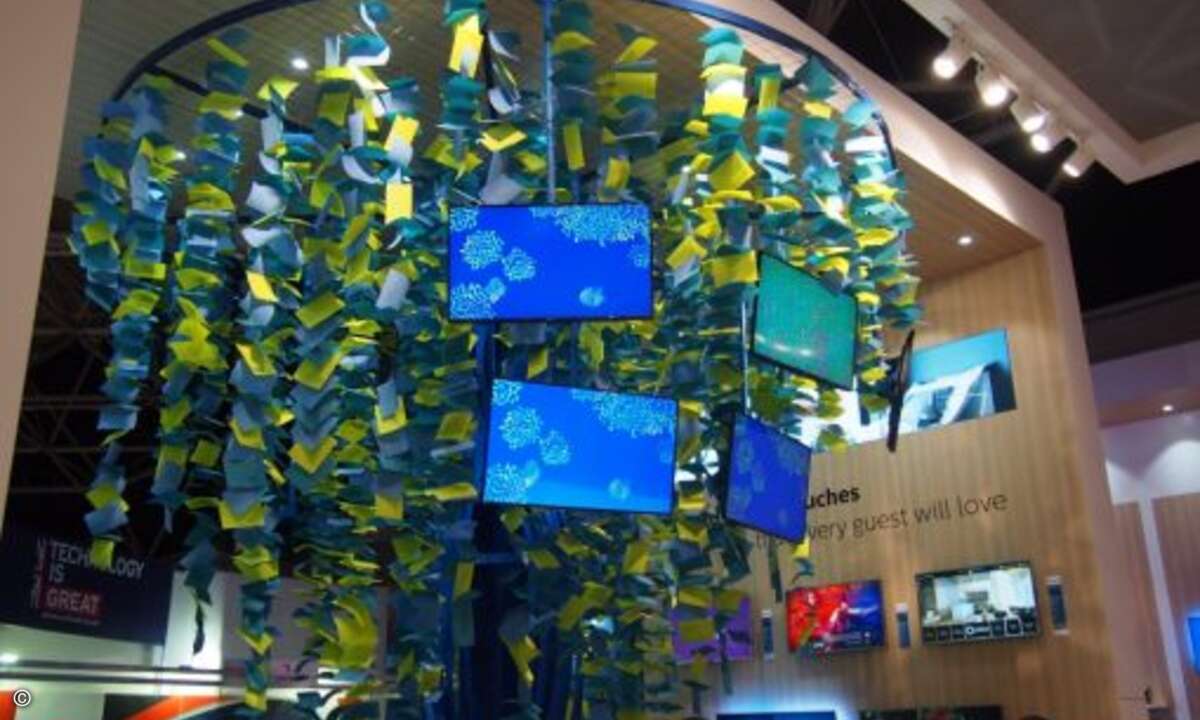 Displays wachsen auf Bäumen bei Philips (Foto: CRN)