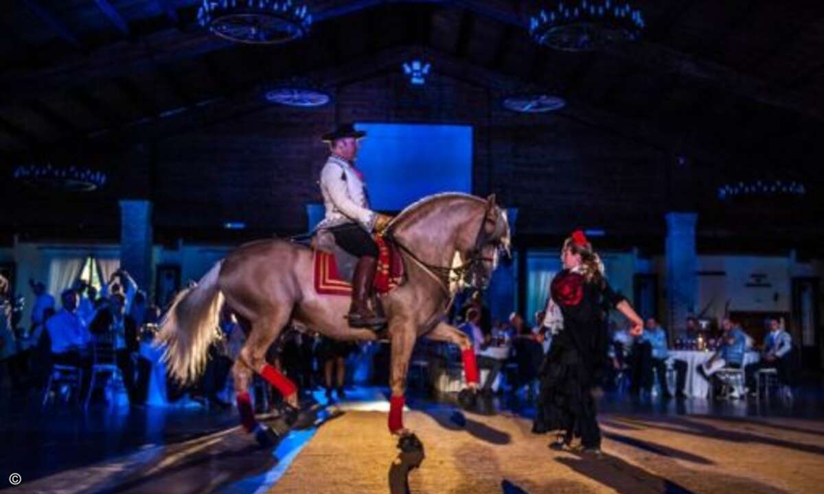 Spanisches Flair vor dem Gala Dinner (Foto: Graham Lee Photography / NetApp)