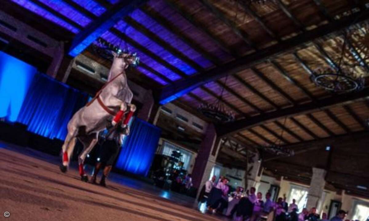 ... (Foto: Graham Lee Photography / NetApp)