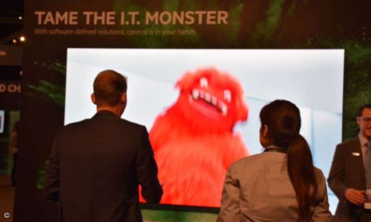 fast alle CIOs und IT-Leiter. Wie man sie wenigstens virtuell zähmt, ...
(Foto: CRN)