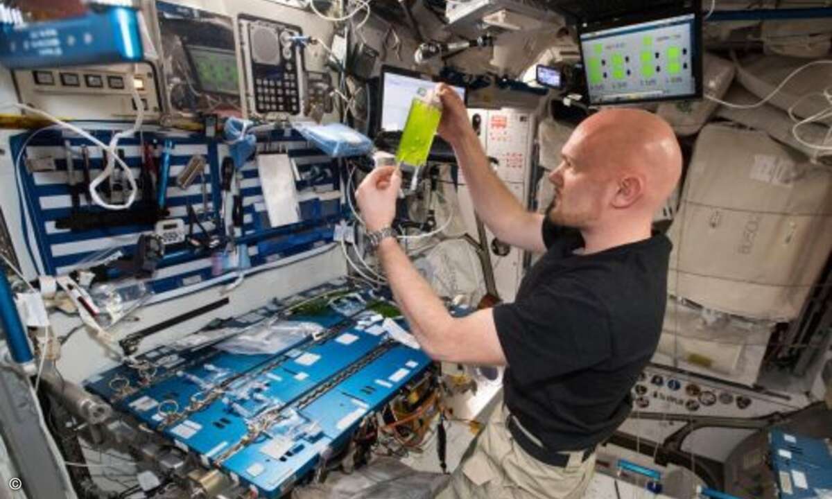 Algenzucht im All könnte die neue Nahrung für die Menschheit im Weltraum sein. »Sie könnte der Schlüssel zu einem funktionierenden geschlossenen Lebenserhaltungssystem in zukünftigen Raumschiffen sein. Und noch dazu hilft es uns, das Ökosystem unsere