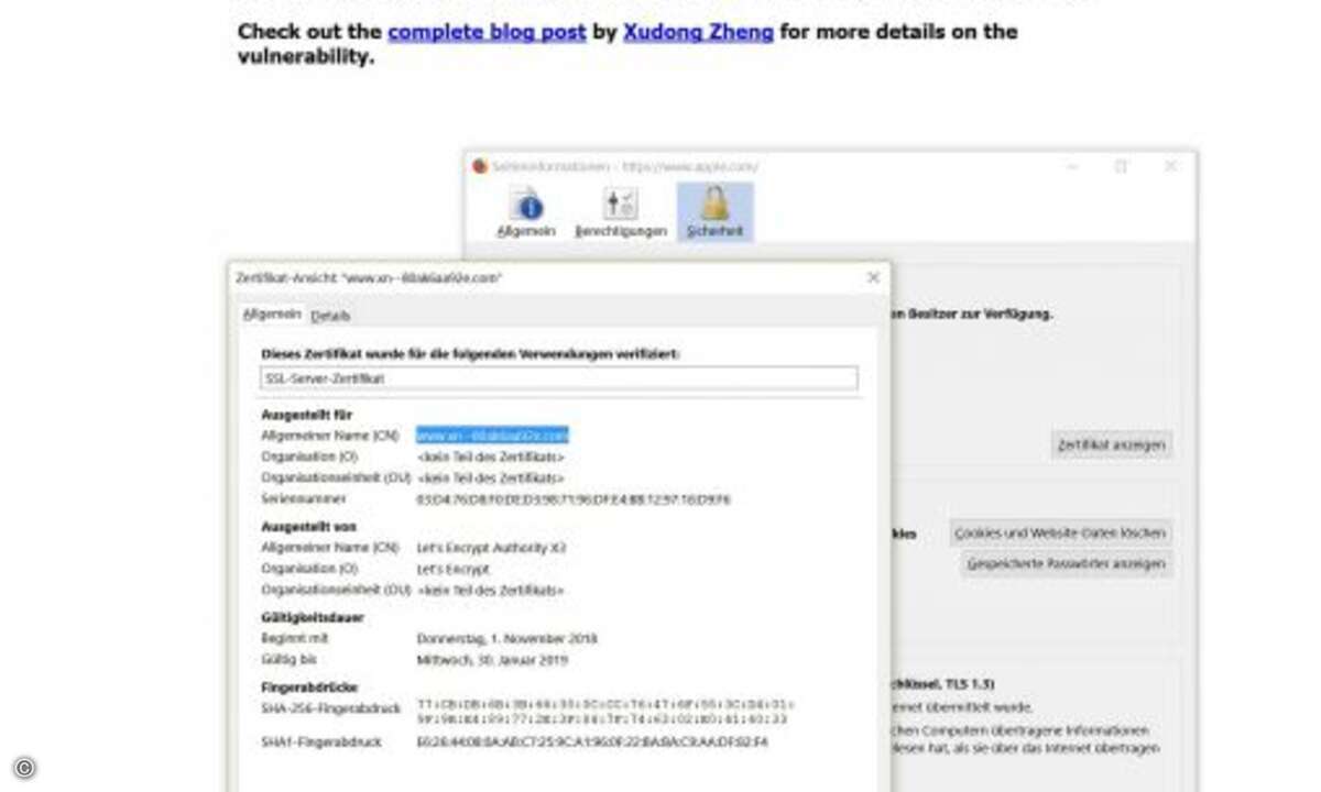 ... ein genauer Blick in die Zertifikat-Ansicht entlarvt die eigentliche URL xn--80ak6aa92e.com, die in der Browserzeile dem User vorgaukelt, auf apple.com zu sein. Wird dann eine täuschend echte Shopseite erstellt und der Nutzer gibt Bestellungen mi
