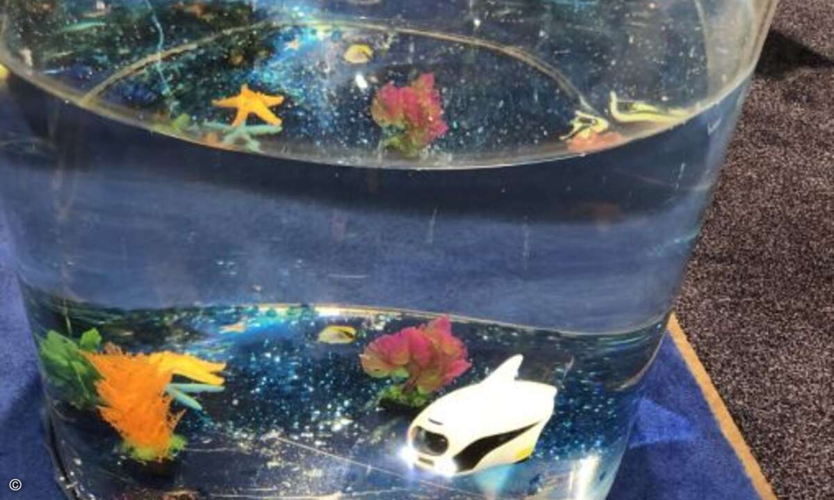 Darunter der kleine Robofisch Biki, der mit GPS und einer 4K-Kamera auf Tauchfahrt geht (Bild: CRN)