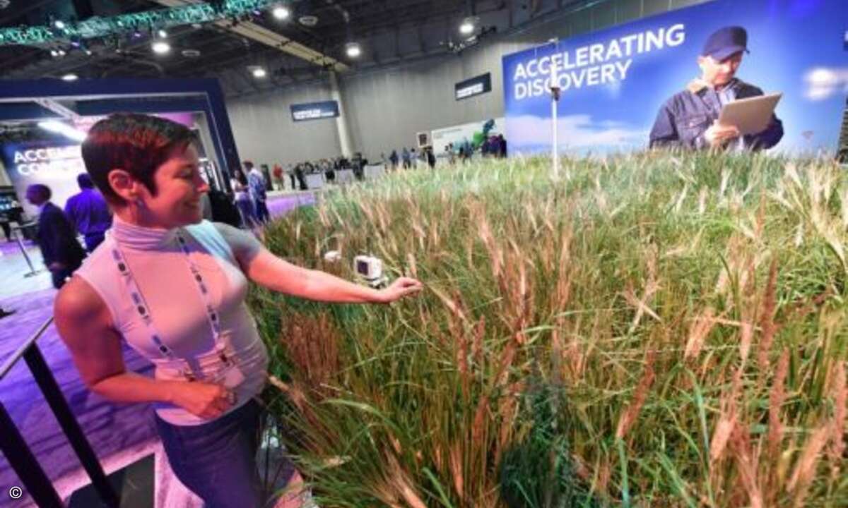 ... oder die Landwirtschaft (Foto: HPE)