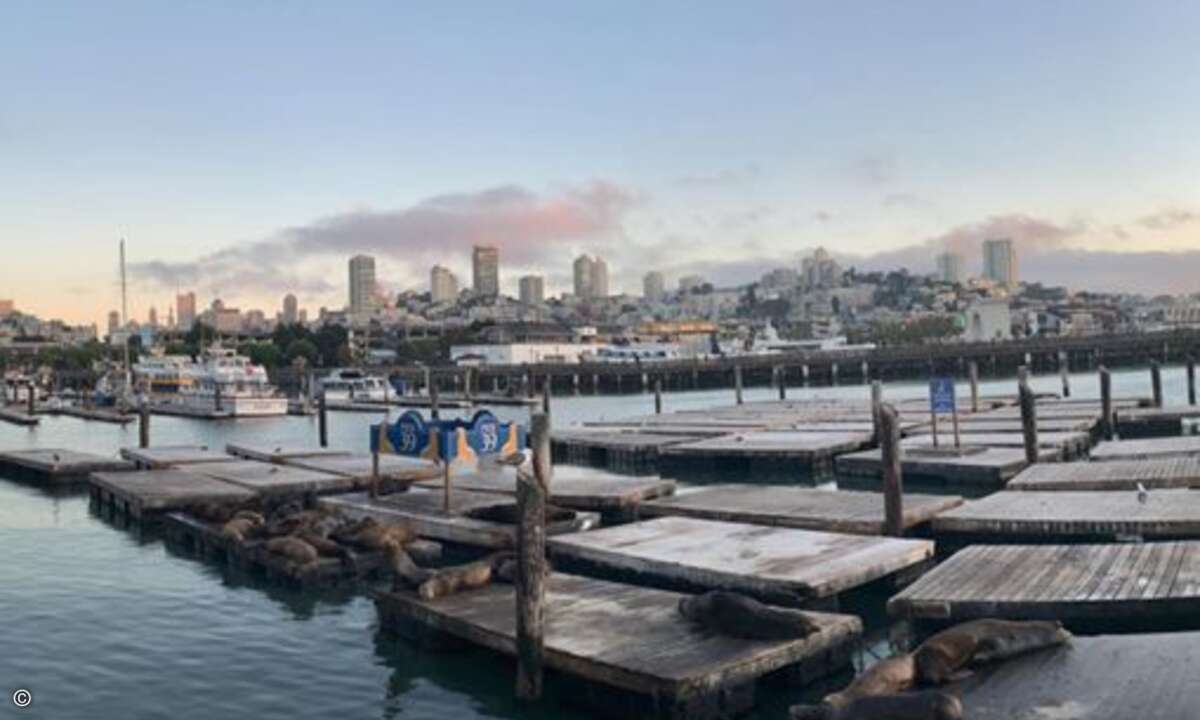 Die Sightseeingtour in Sausalito und San Francisco endete mit einem Besuch des Pier 39. (Bild: Stephan Viehoff)