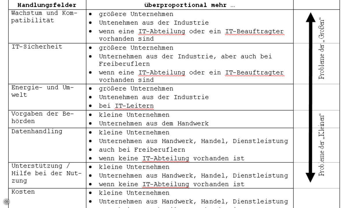Welche Problem- und Handlungsfelder wurden überproportional von welchen Unternehmen benannt? (Grafik: DIKMU)