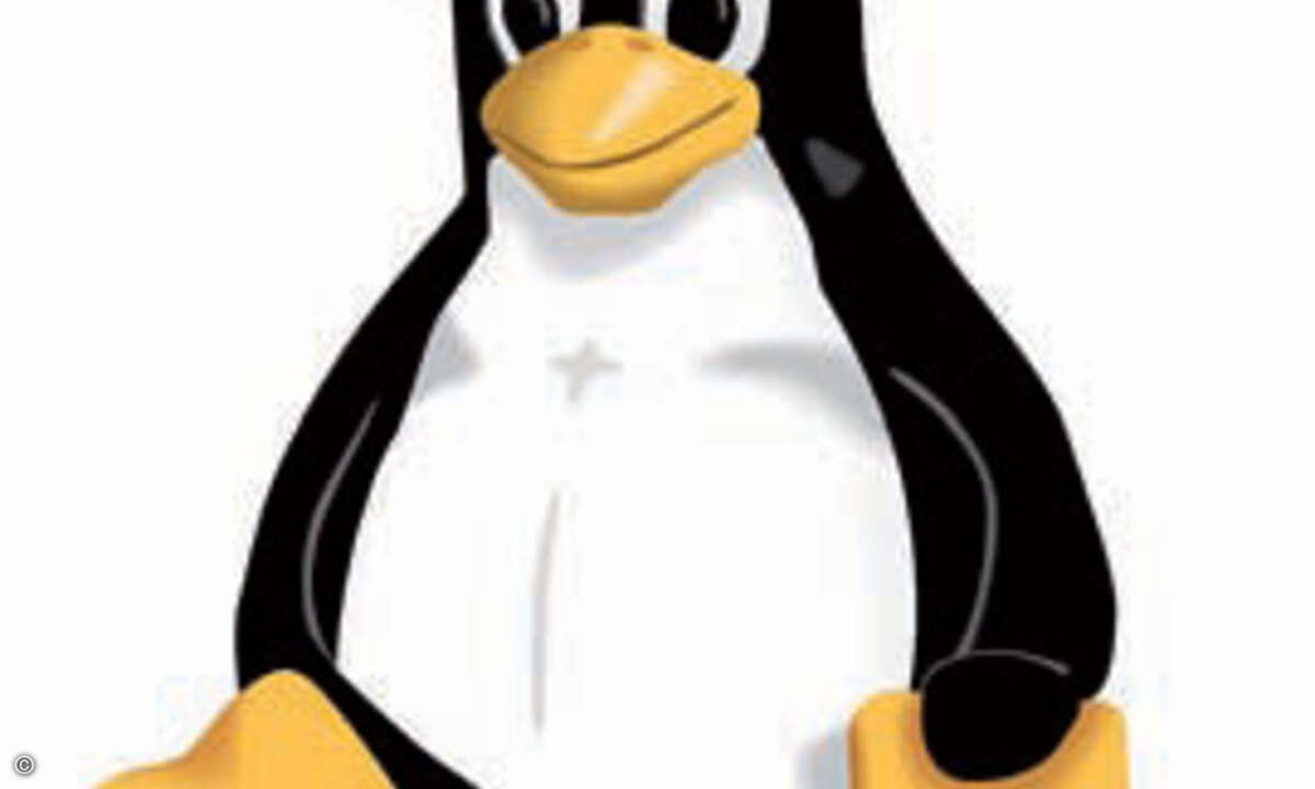 Ein harmloser Pinguin jagt Microsoft: Das Open-Source-Betriebs­sys­tem ­Linux ­erobert sich in manchen ­Server-Segmenten ­domi­nan­te Marktanteile und läuft sogar auf den Mainframes der z-Series von IBM.