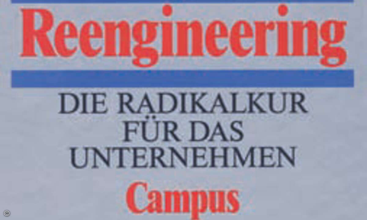 »Business Reengineering« von Hammer/ Champy löste in der IT-Branche ein ­Erd­beben mit langwierigen Folgen aus.