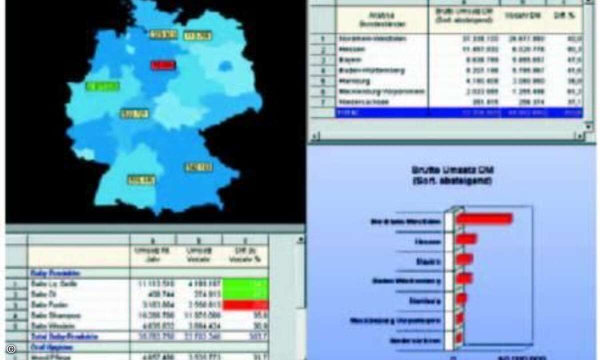 Mit Business-Intelligence-Software lassen sich zum Beispiel Umsatzzahlen nach Produktgruppen und Vertriebsregionen analysieren. Foto: Orenburg