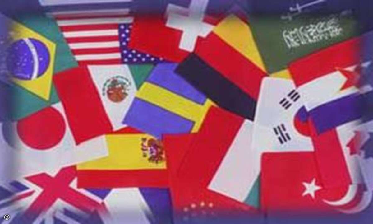 Bei Auslands-Aktivitäten haben es Nischen-Shops in Landessprache deutlich leichter als deutsche Lösungen.