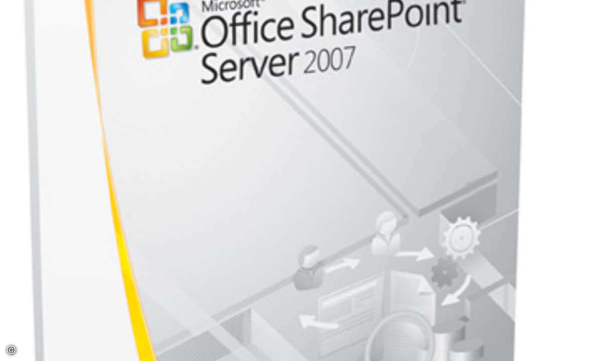 Die Verwundbarkeit weist Version 2007 von Sharepoint Server auf.