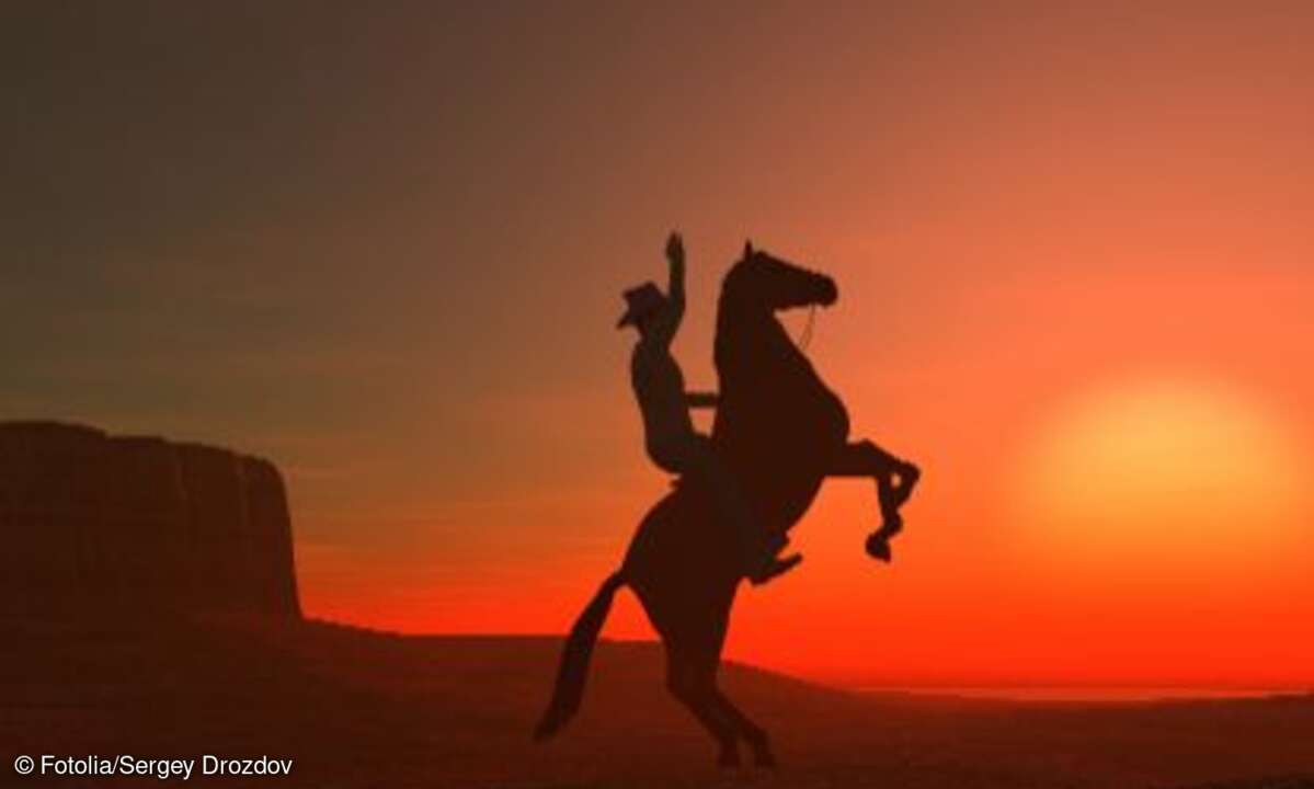 KI-Wildwest