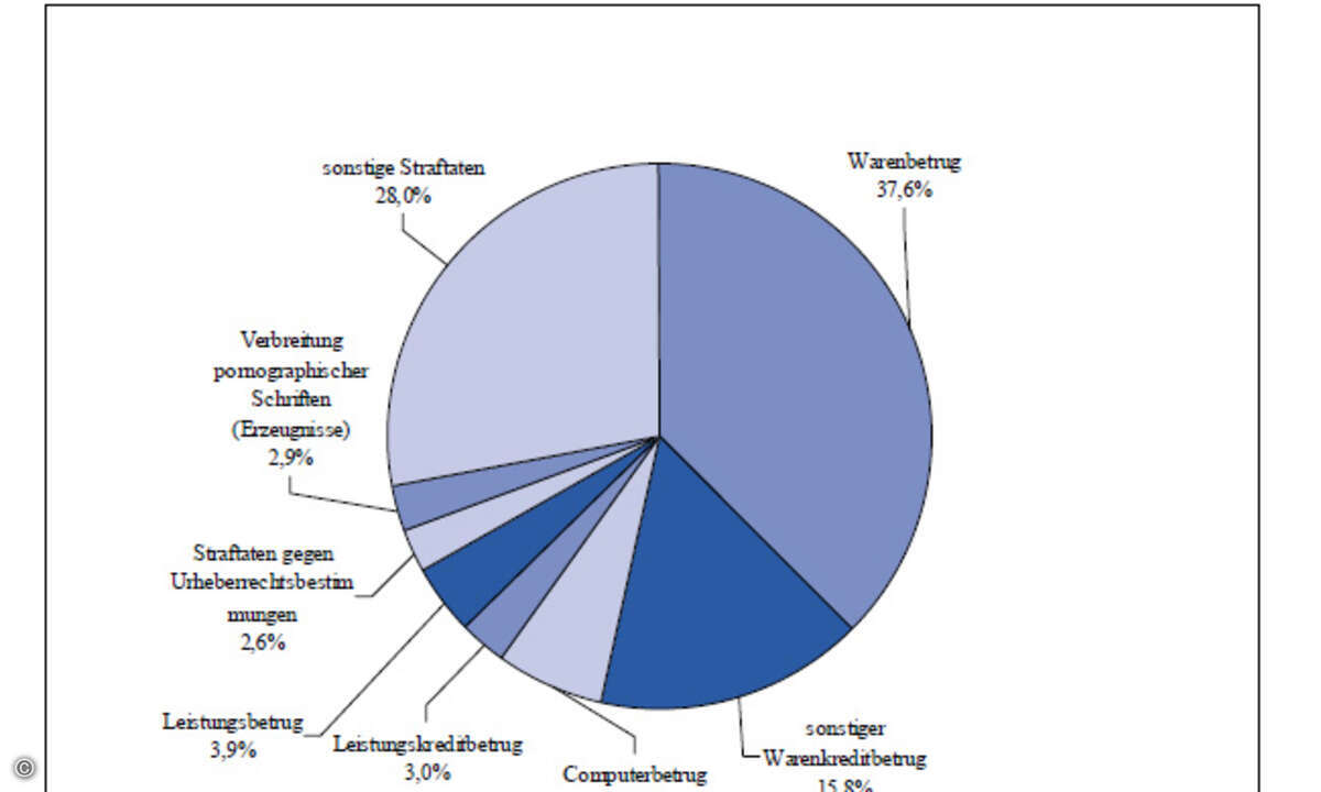 Straftaten mit Tatmittel Internet. (Quelle: Polizeiliche Kriminalstatistik 2009)