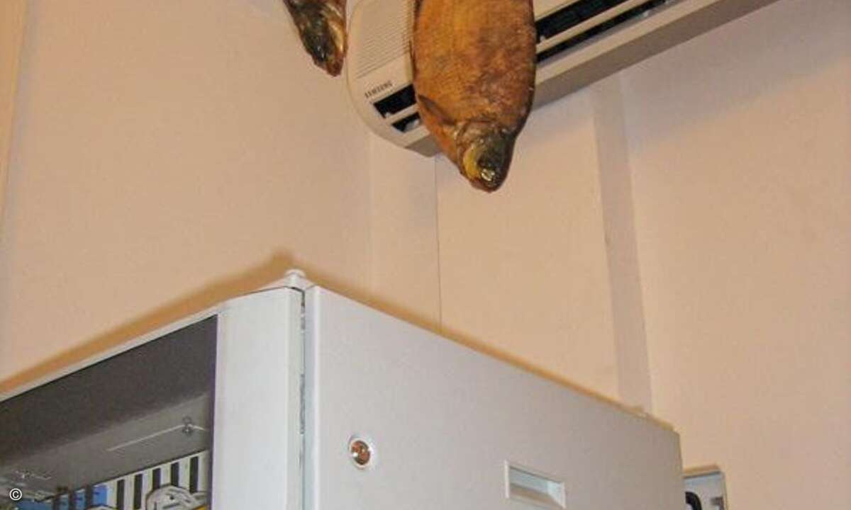 Eine Möglichkeit, Frau und Kind vom schmalen Gehalt eines IT-Fachmanns zu ernähhren.