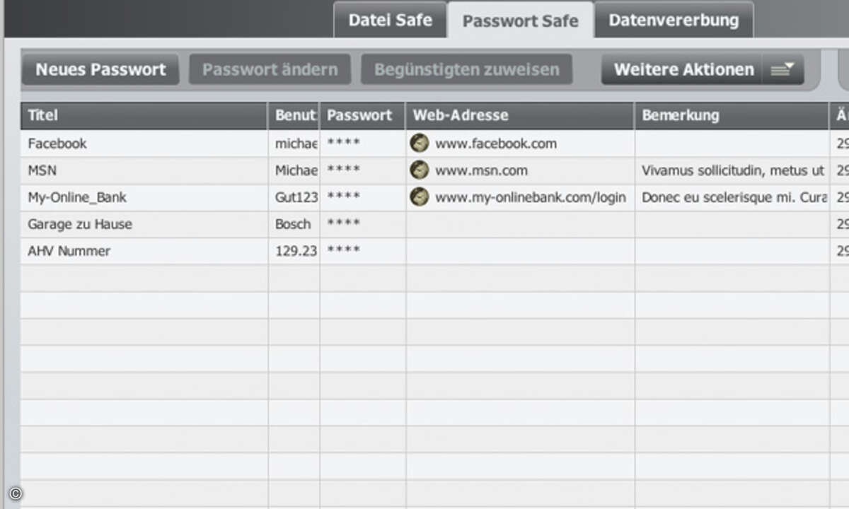 Programme wie Password Safe von Data Inherit helfen dabei, dem Wust von Kennwörtern Herr zu werden.