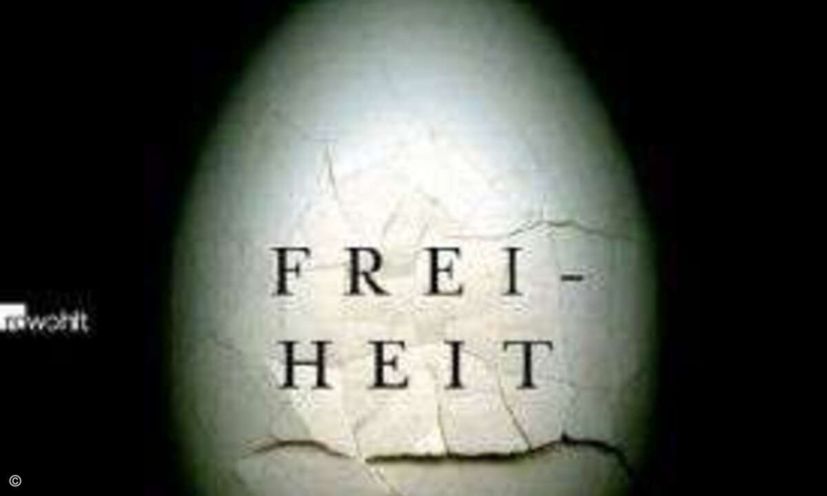 Freiheit: Das neue Werk von Kult-Autor Franzen