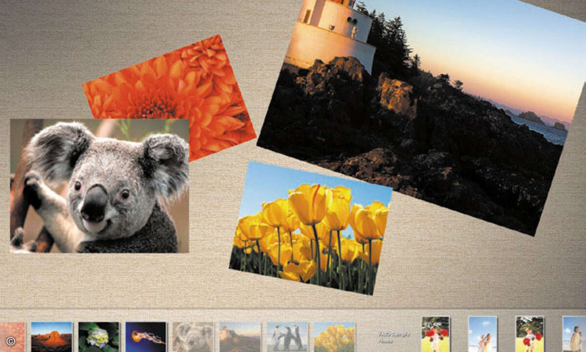 Fotoalbum: Bei Surface Collage kann man Bilder beliebig anordnen und das Resultat speichern.