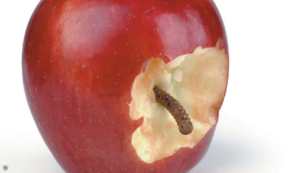 Hinter manch einem vermeintlich knackigen Angebot steckt in Wahrheit ein Wurm. (Bild: Fotolia.de)