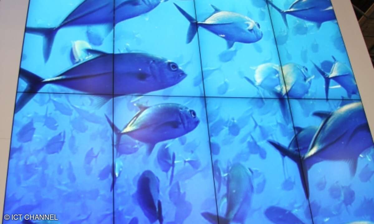 »Digital Signage muss zugeschnitten auf den jeweiligen individuellen Anwendungsfall verkauft werden«