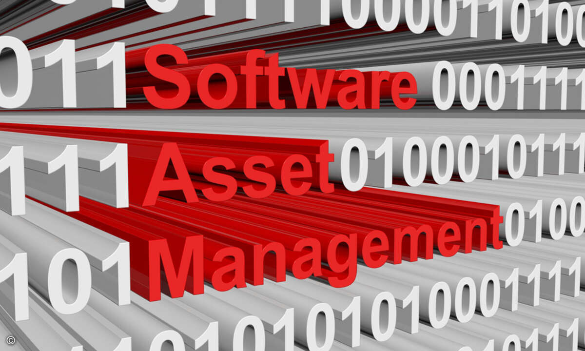Durch zusätzlichen Service wie Lizenz- und Software-Asset-Management erschließen sich den Partnern weitere Geschäftsmöglichkeiten