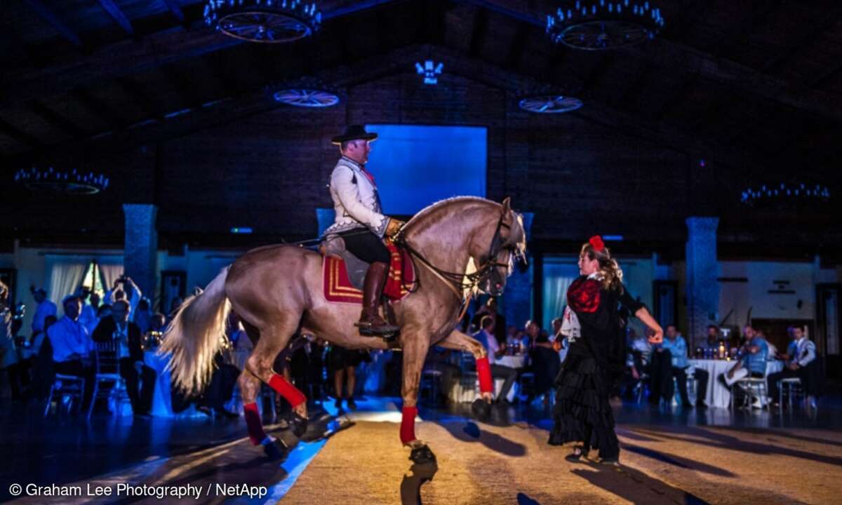 Spanisches Flair auf dem Gala Dinner des NetApp EMEA Partner Executive Forums 2018 in Sevilla