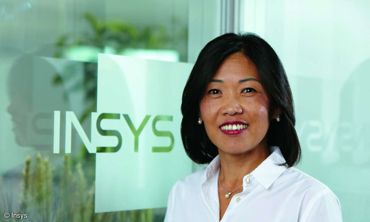 Sun Spornraft, Insys Microelectronics