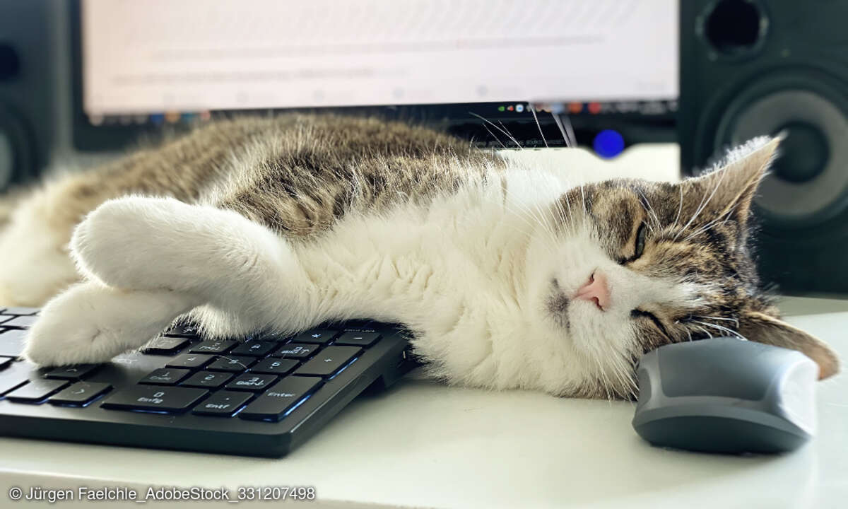 Home Office