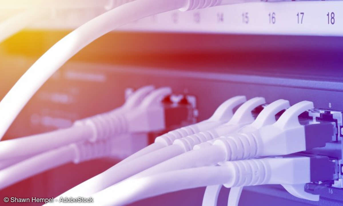 Switch-Ports mit LAN-Kabeln