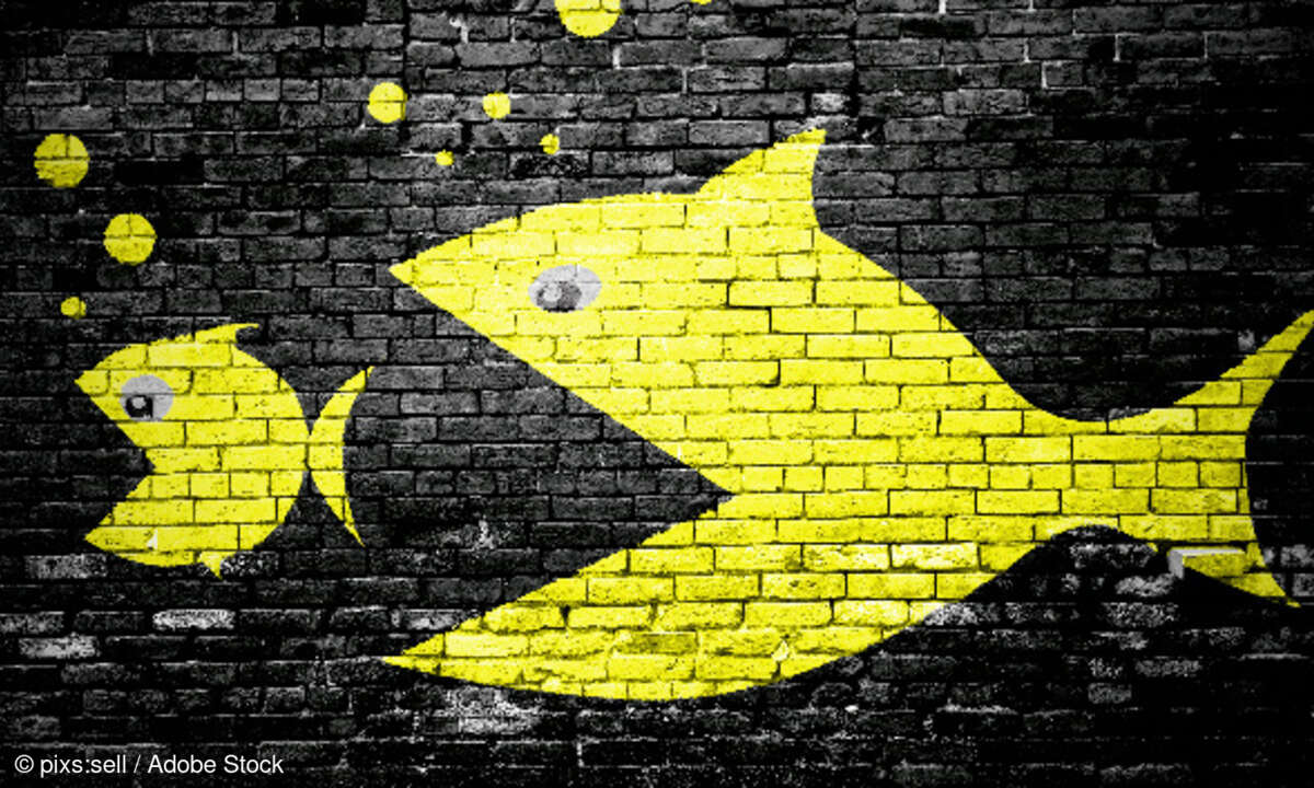Fisch schlucken, Übernahme