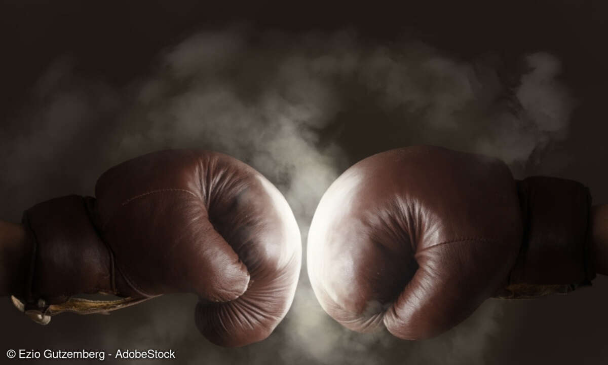 Boxhandschuhe