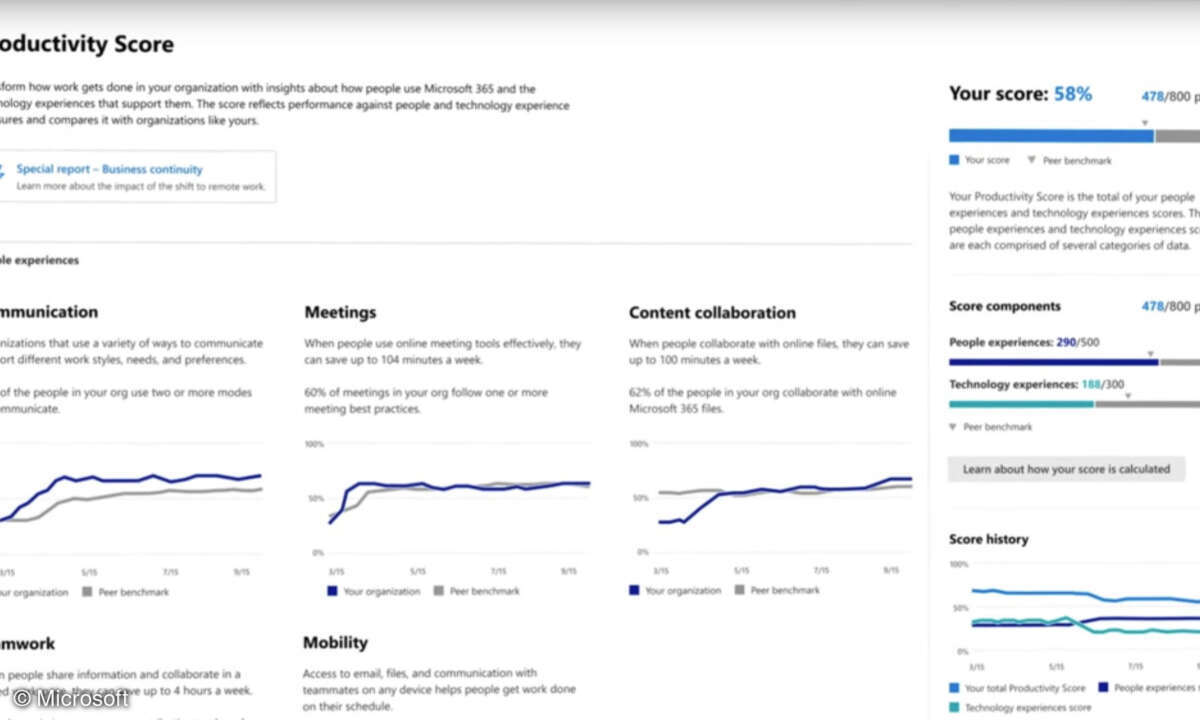 Microsofts Productivity Score