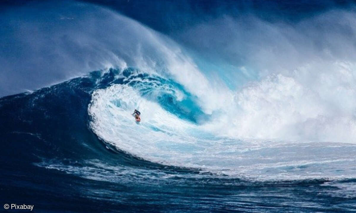 Safer Internet Day: Sicher im Netz surfen!