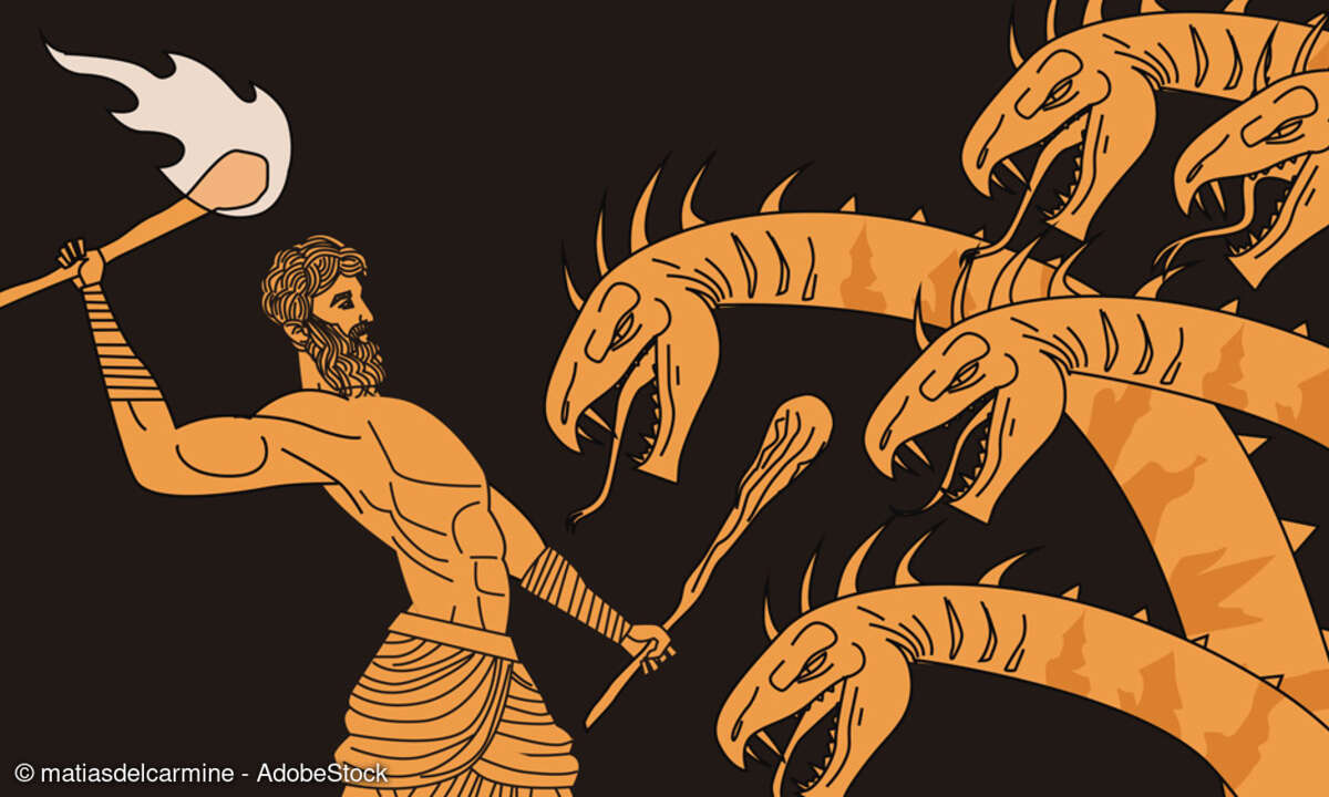Hydra