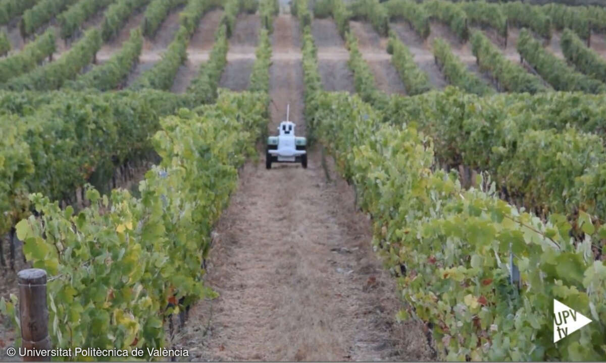 Der von der Universitat Politècnica de València entwickelte »VineScout« hilft bei der Kultivierung der Trauben