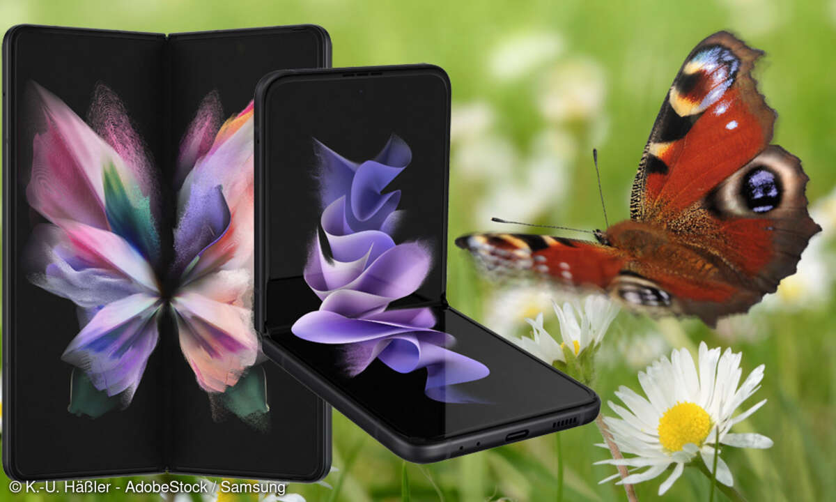 Das Galaxy Z Fold3 und Z Flip3