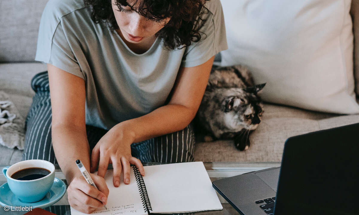 Online Learning