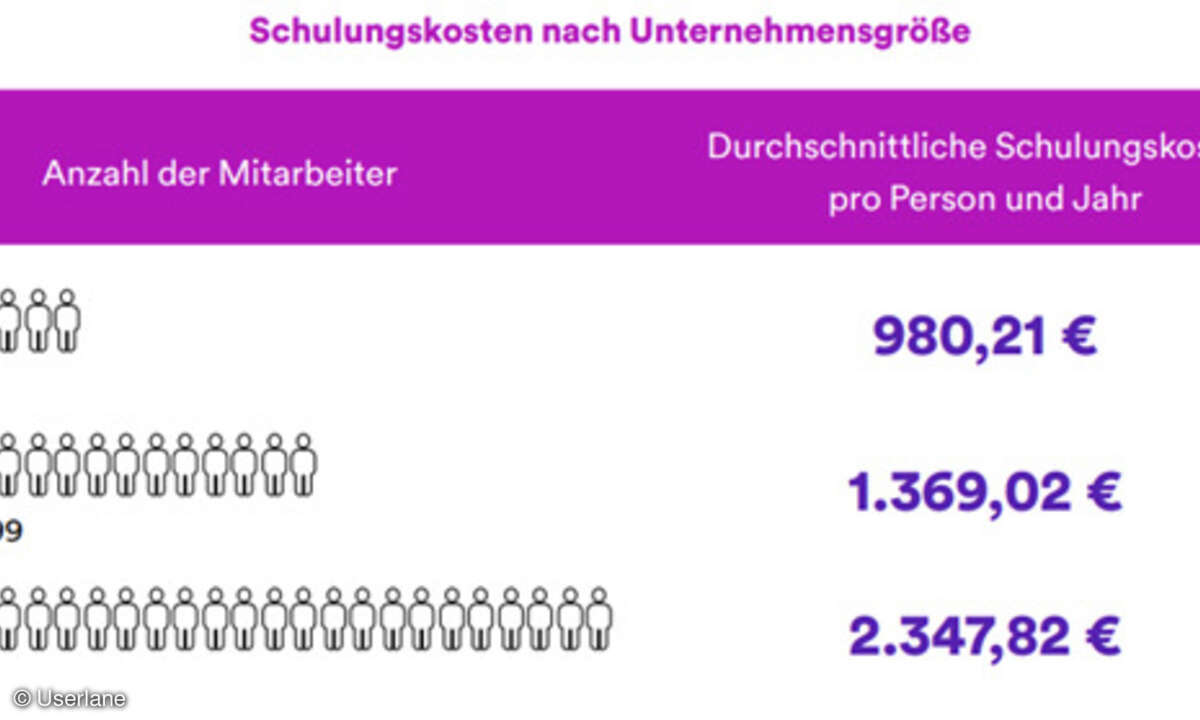 Software-Schulungskosten