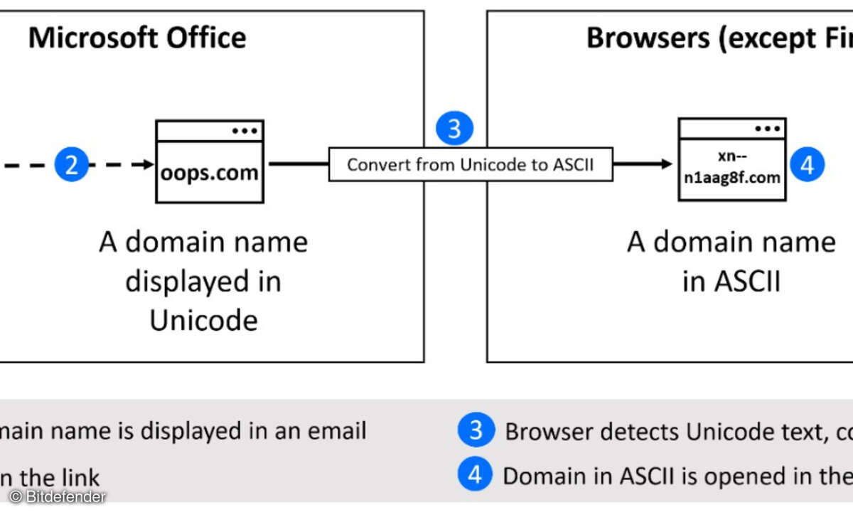 Homograph-Phishing