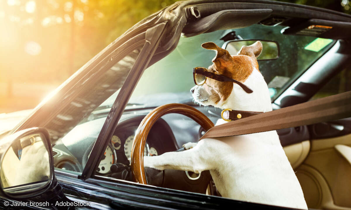 Autonomes Fahren