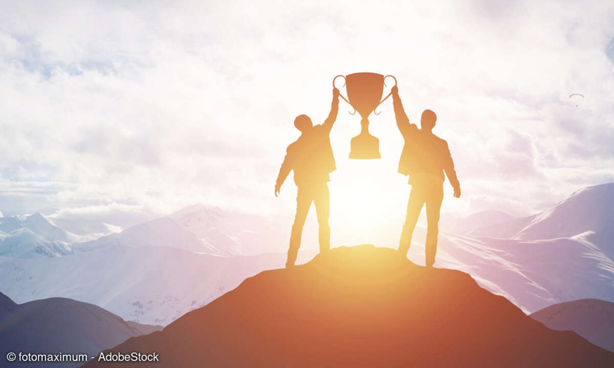 Partner-Champions