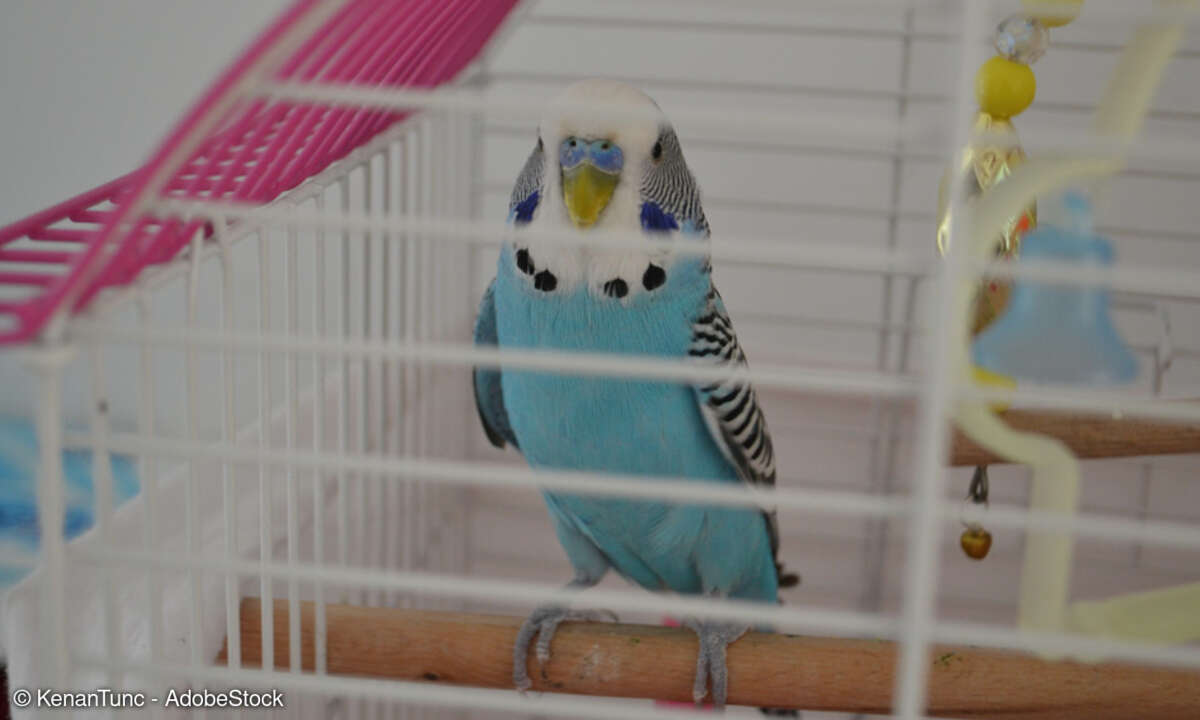 Twitter schottet sich ab